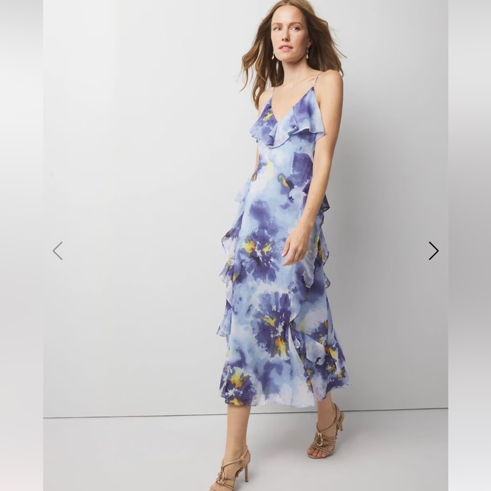 NWT Chiffon Floral Ruffle Watercolor Maxi Dress WHBM Small
